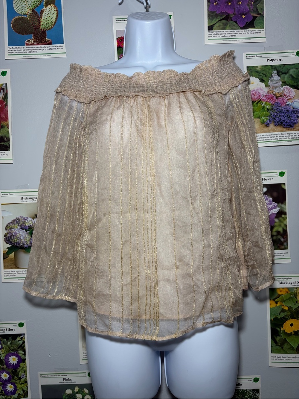 American Eagle Outfitters Sheer Beige Off-Shoulder Blouse